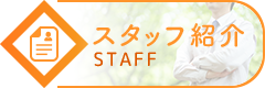 スタッフ紹介